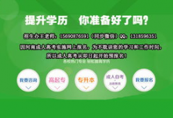 成人教育视频,视频内容深度解析